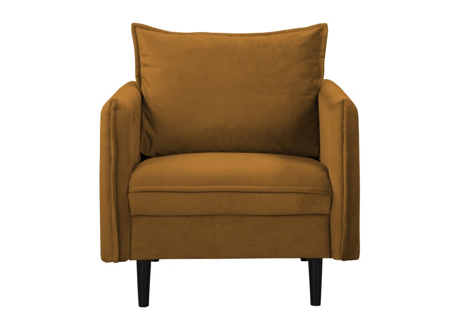 Fotel klasyczny Verto - Riviera 41